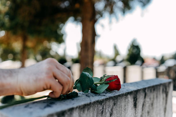 The Seismic Change: Browsing Member in the Modern Internet Dating Landscape